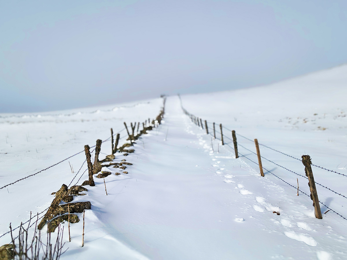Chemin enneigé